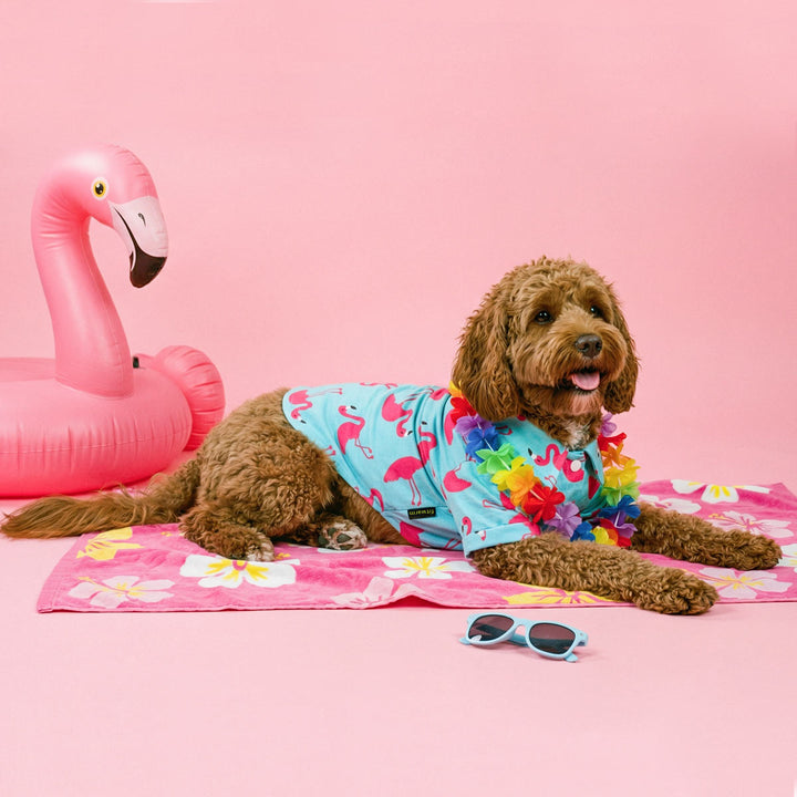 Small dog wearing a dog Hawaiian shirt with flamingo prints and lying on a blanket