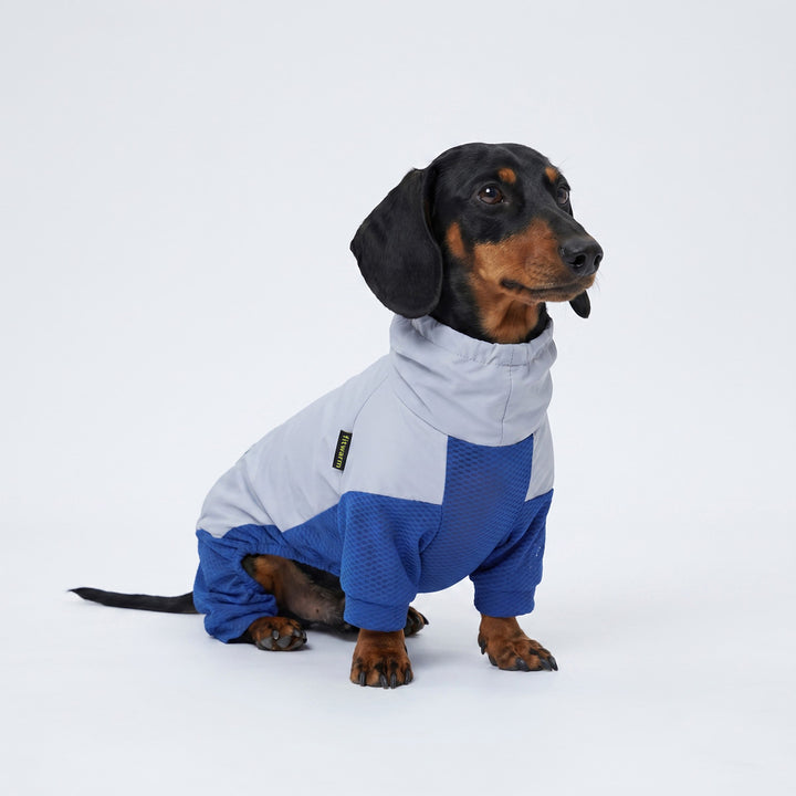 Dachshund sitting in a white background with a turtleneck dog uv jumpsuit