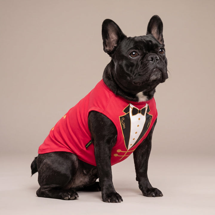 Black French Bulldog wearing a red ringmaster-style dog costume with a white tuxedo jacket graphic and gold accents, posed against a solid beige studio background
