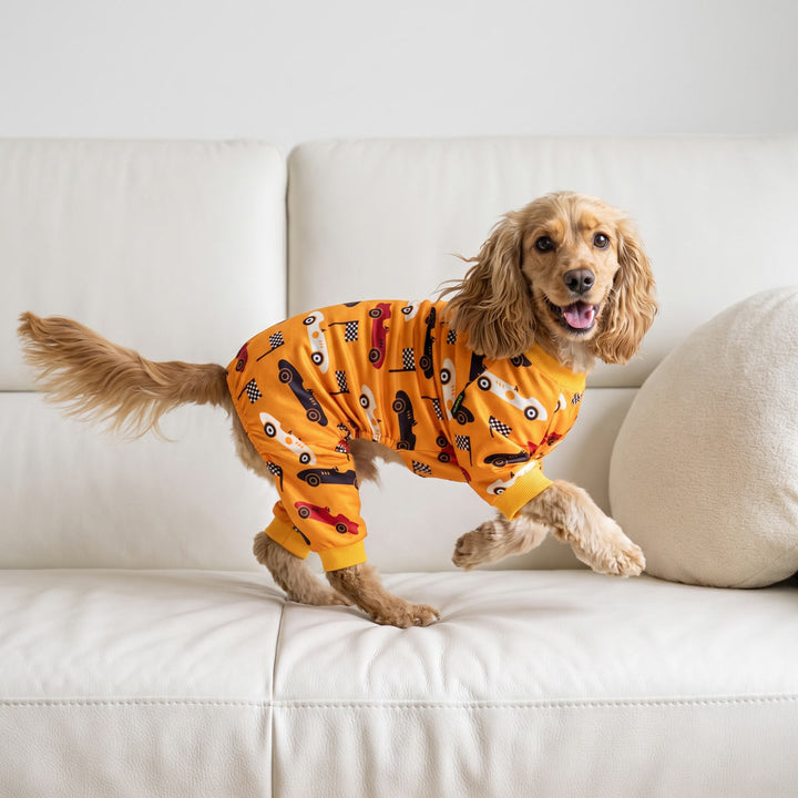 Small dog wearing bright yellow full-body dog pajamas with a black, white, and red race car pattern, standing on a white leather sofa