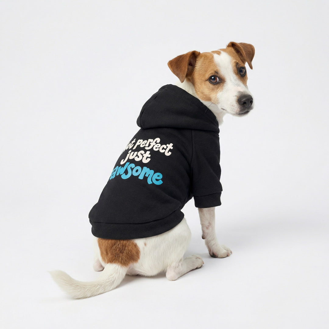 Jack Russell wearing a classic dog hoodie with 'not perfect just pawsome' lettering