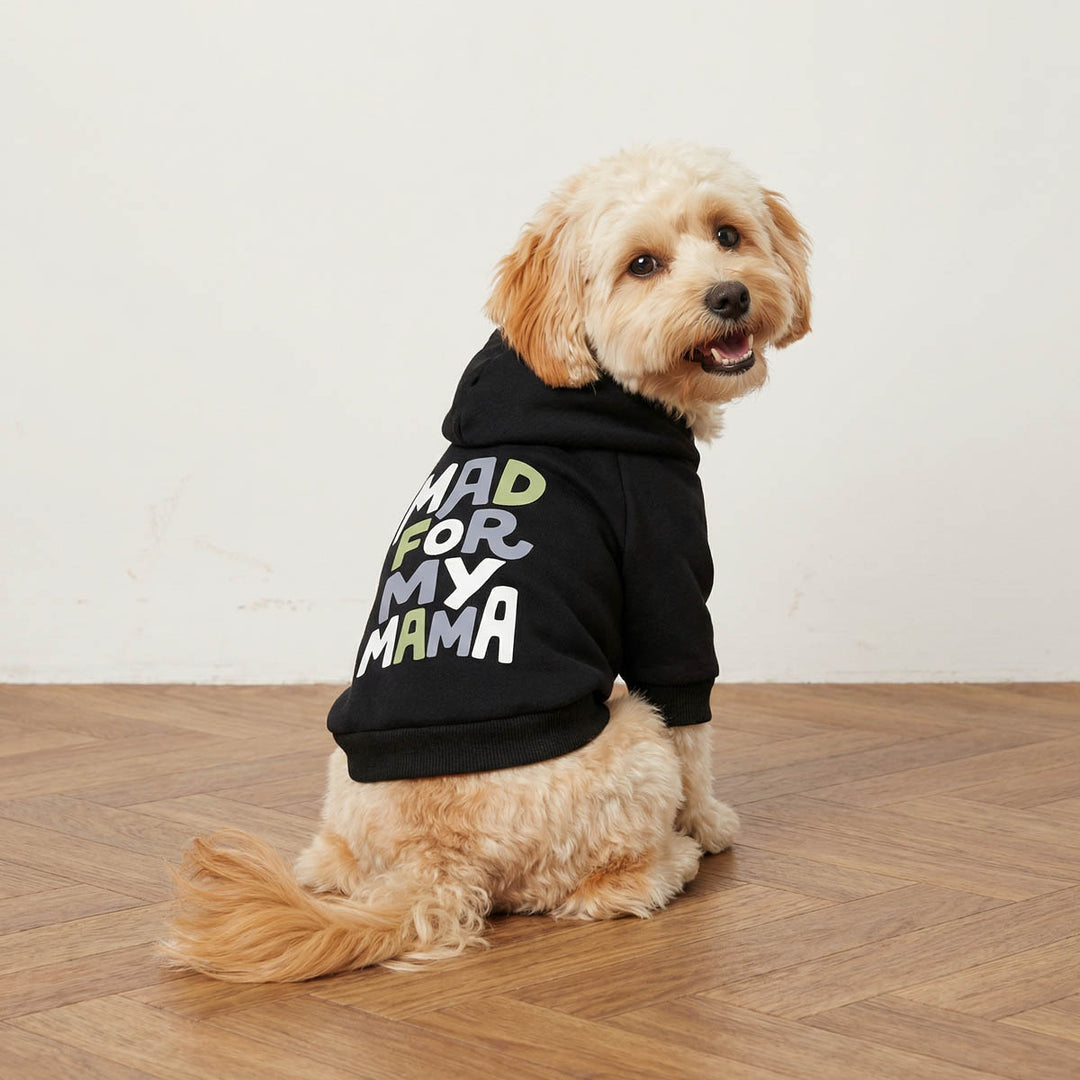 Dog wearing a black dog sweatshirt with colorful 'Mad for my mama' lettering on a wooden floor