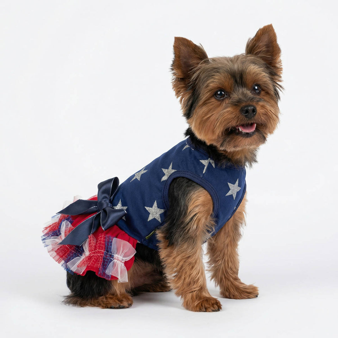 Red, white and blue 4th of July dog dress on a smiley Yorkie 
