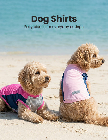 Dog Shirts | Fitwarm
