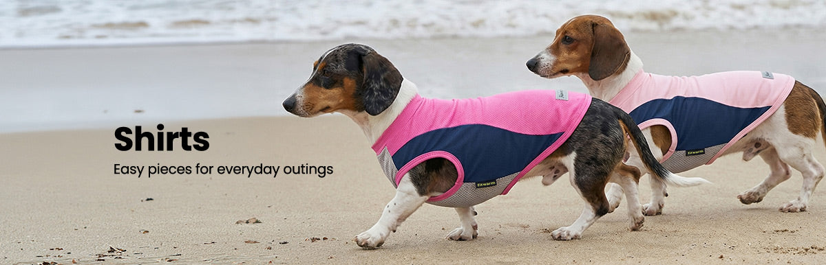Dog Shirts | Fitwarm