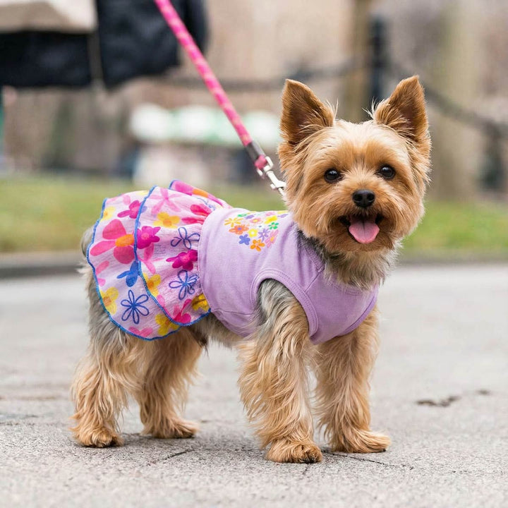 Dog in floral dog dress standing on pavement for easter season