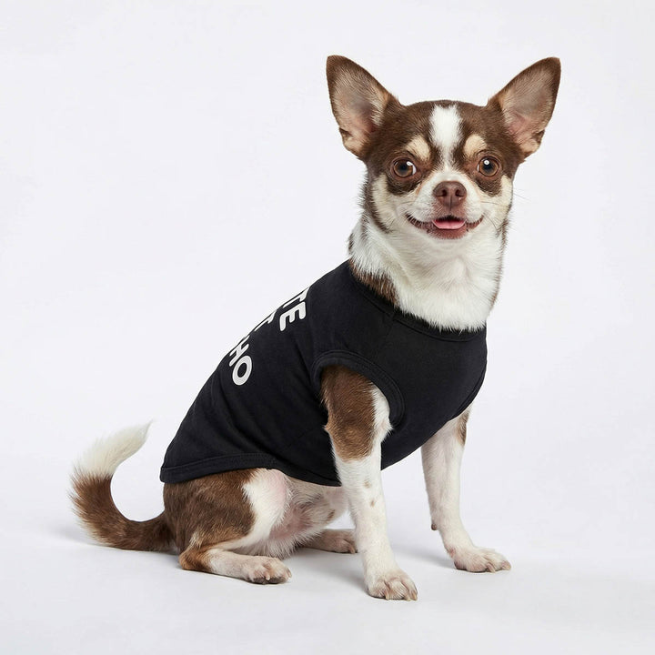 Small dog wearing a black sleeveless dog tank top with text on a white background