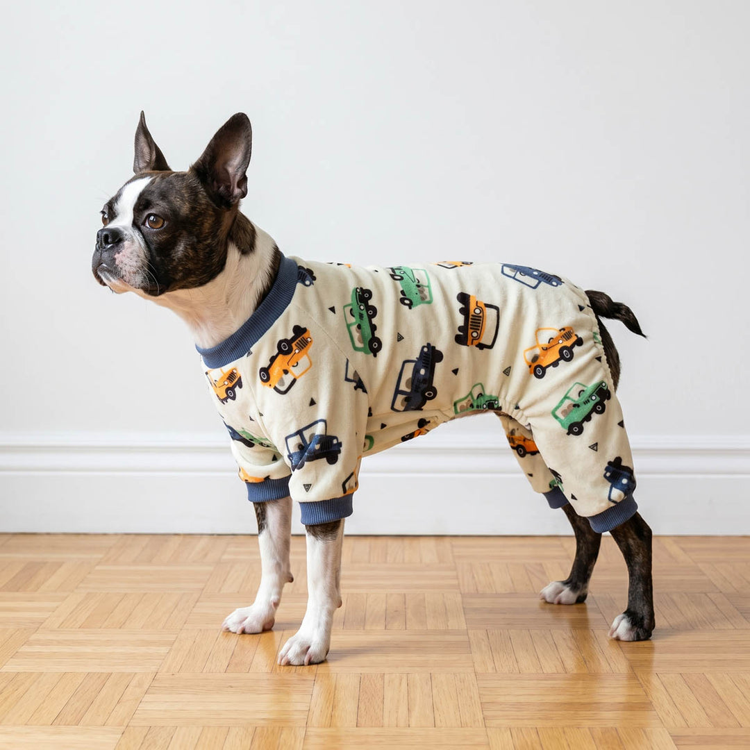 Boston Terrier standing on a wooden floor in a funny car pajamas for dogs