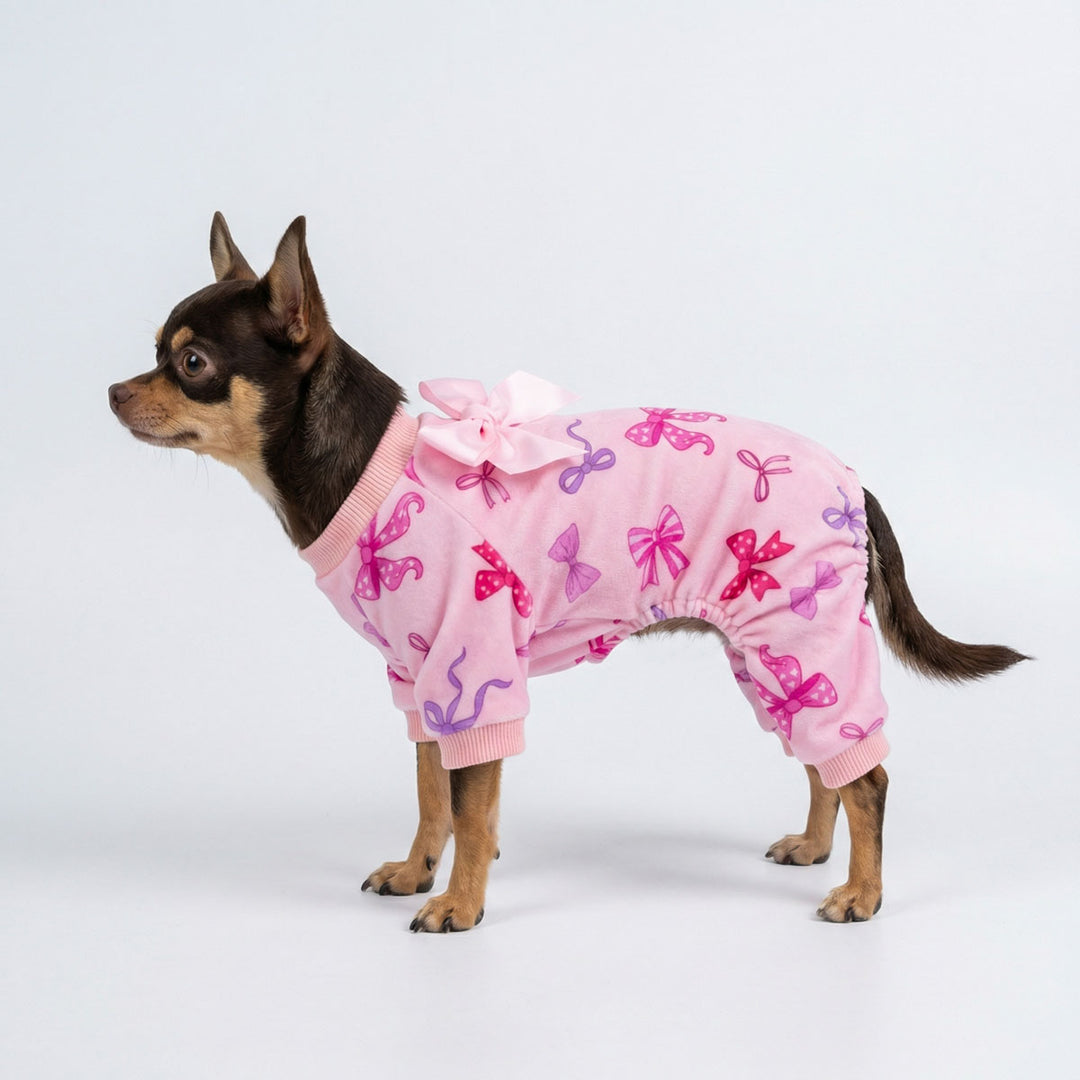 Cute dog in pink bowknot dog pjs for Valentine celebration