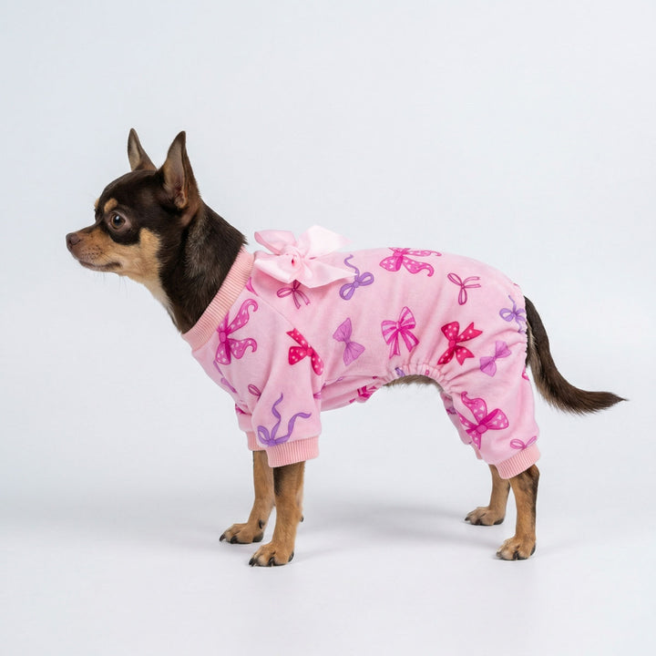 Cute dog in pink bowknot dog pjs for Valentine celebration