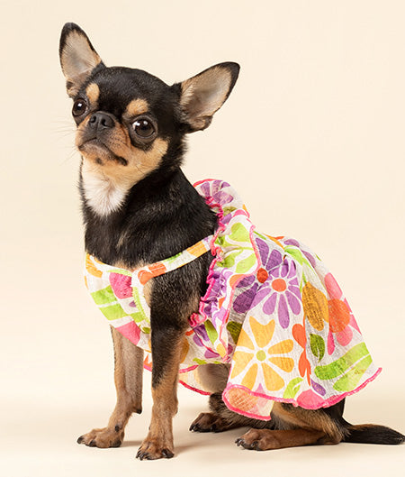 Puppy Clothes Teacup Chihuahua Outfits Chihuahua Clothes