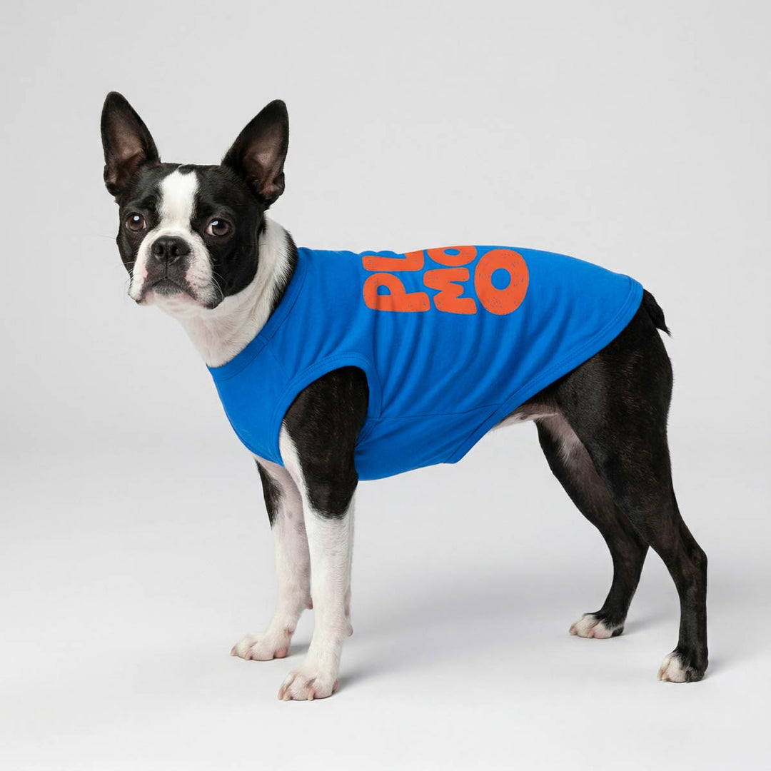 Dog wearing a blue shirt for dogs with orange 'play mode on' lettering on a white background