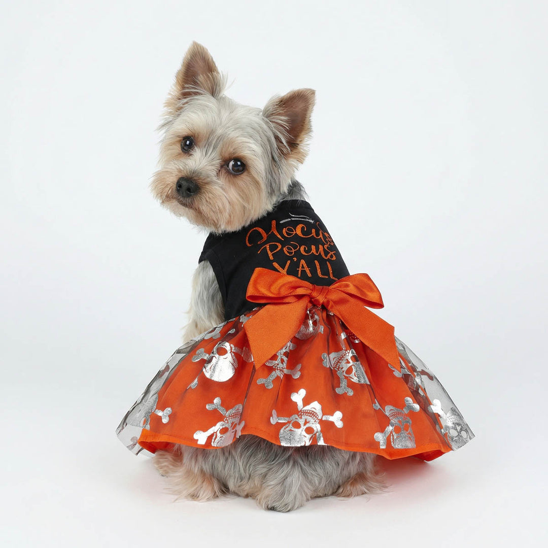 Black & Orange Halloween Dog Dress | Hocus Pocus Style Fitwarm Black & Orange Halloween Dog Dress | Hocus Pocus Style Fitwarm