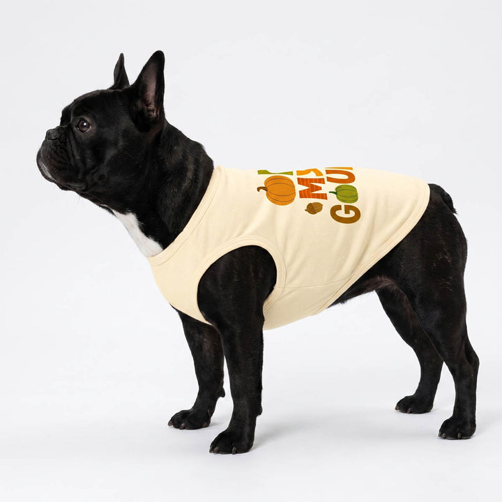 Black dog wearing a beige dog t-shirt with colorful text on a white background