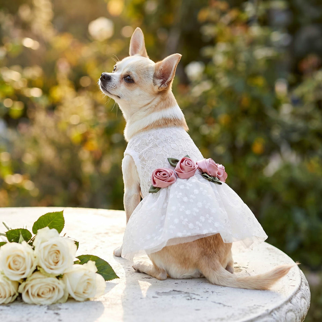 Elegant Dog Wedding Dress | White Lace, Pink Roses X-small Elegant Dog Wedding Dress | White Lace, Pink Roses X-small