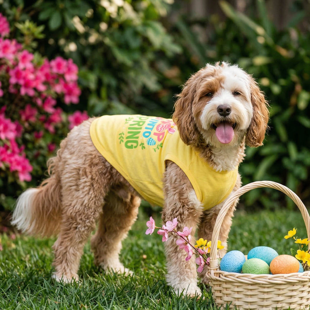 Dog wearing a yellow shirt for dogs with colorful text, standing next to a basket of Easter eggs and flowers in a garden
