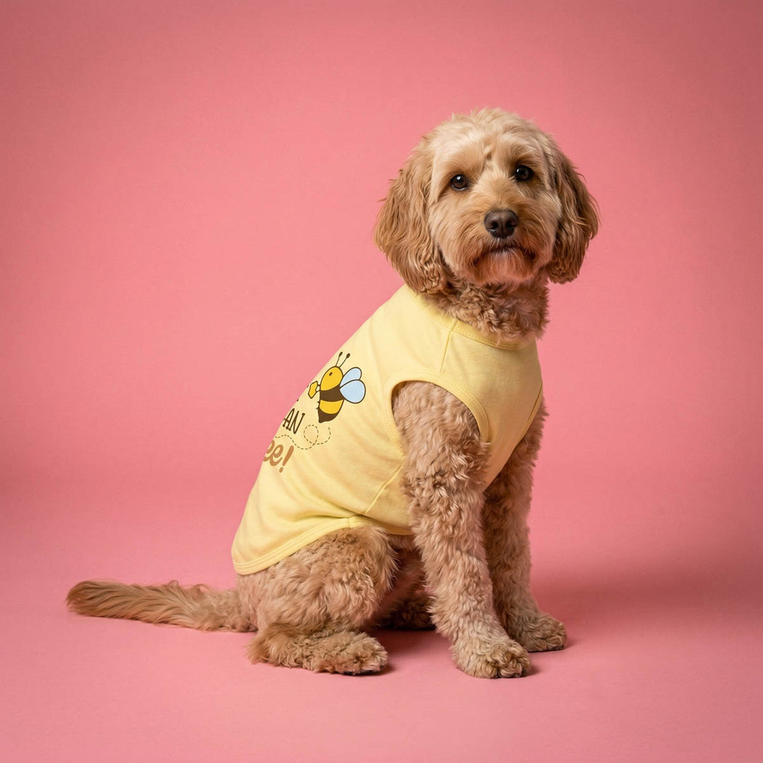 Dog wearing a yellow dog t-shirt with a bee design on a pink background