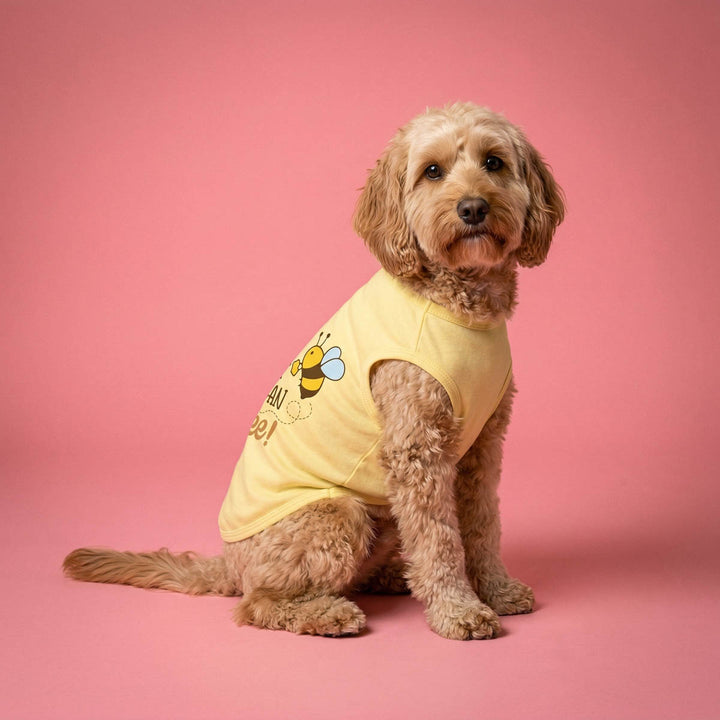 Dog wearing a yellow dog t-shirt with a bee design on a pink background