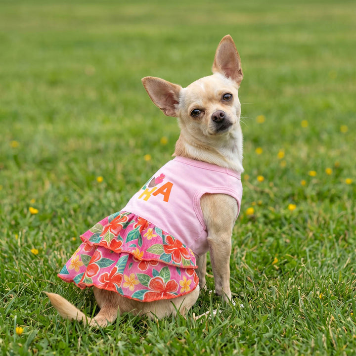 Small dog sitting on the grass in a pink dog summer dress with 'Aloha' lettering and tropical floral prints