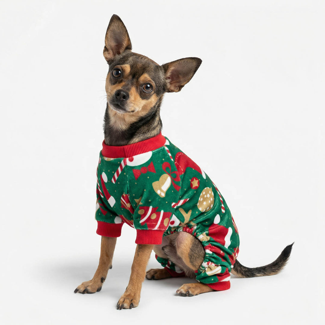 Chihuahua sitting with a cozy dog onesie with Christmas prints