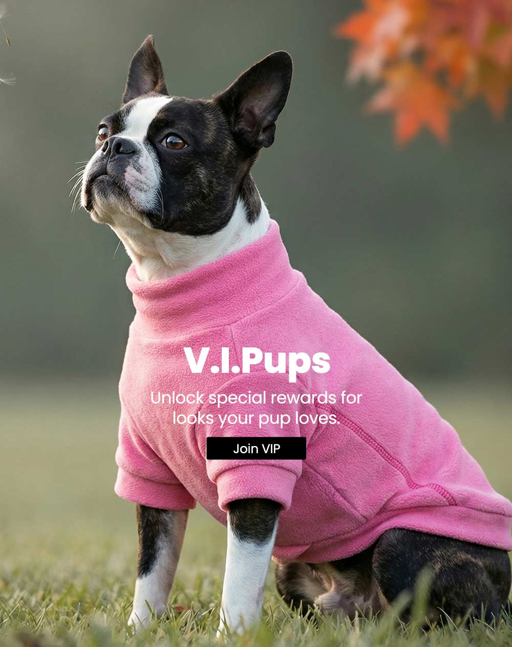 FitWarmの公式ウェブサイト|デザイナーの犬の服 – Fitwarm