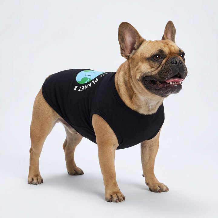 French Bulldog stands in a white background with a black dog shirt which has a earth on it
