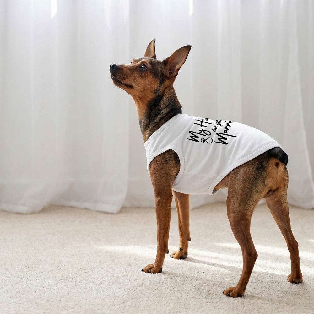 Small dog stand indoors with a white shirt for dogs
