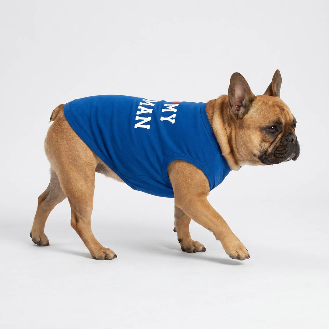 French Bulldog walking on a white background with a sleeveless shirt for dogs