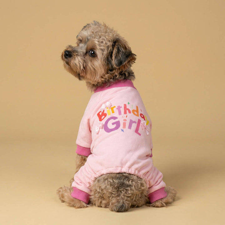Small dog in a dog birthday onesie with adorable bow and 'Birthday Girl' lettering