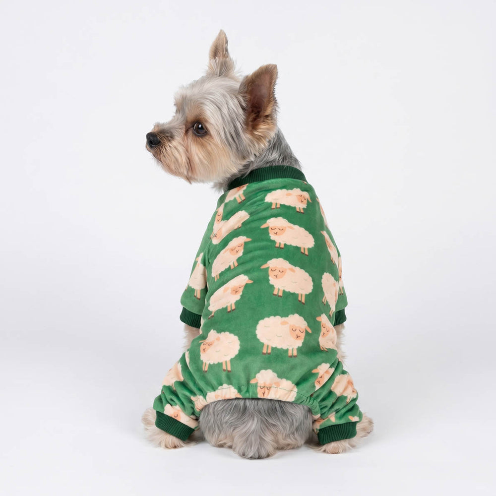 Back view Yorkie in a funny sleeping sheep pajamas for dogs