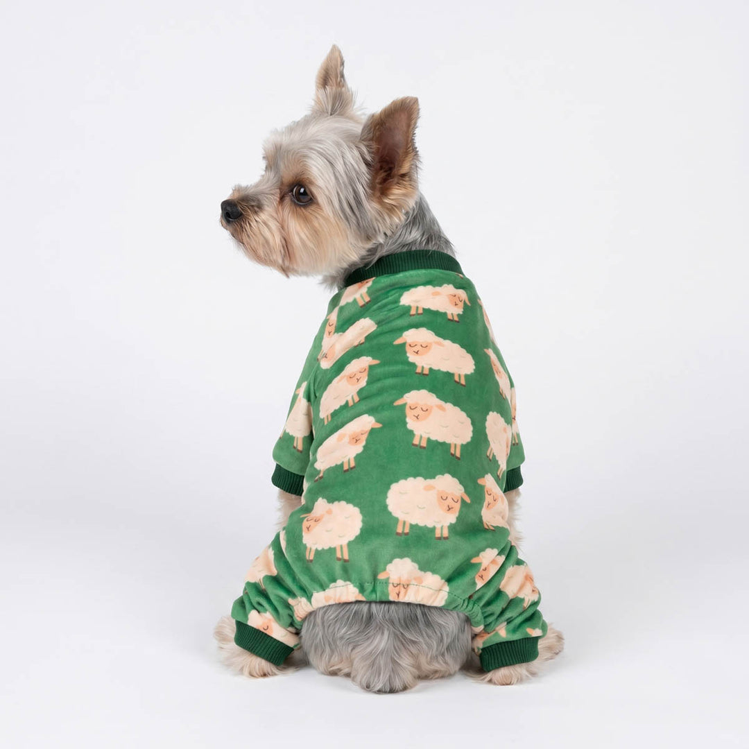 Back view Yorkie in a funny sleeping sheep pajamas for dogs