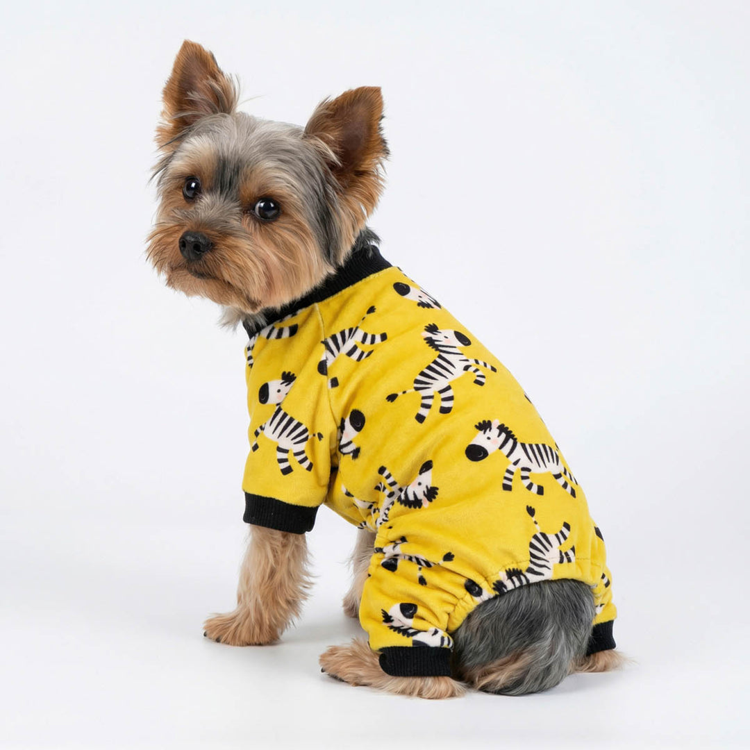 Back view of a Yorkie in a yellow zebra dog pjs
