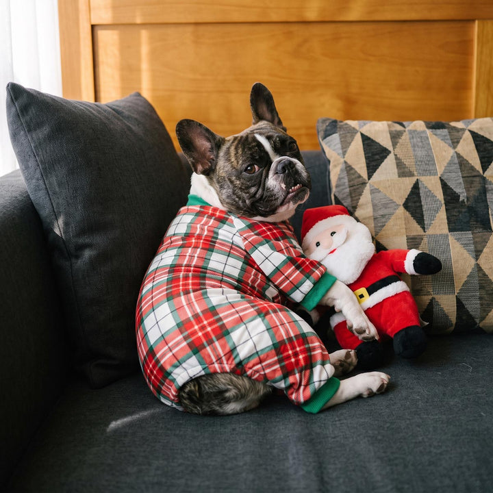 French Bulldog lying on the couch with a plaid dog Christmas pajamas