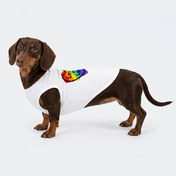 Dachshund in a white dog t-shirt with colorful heart prints