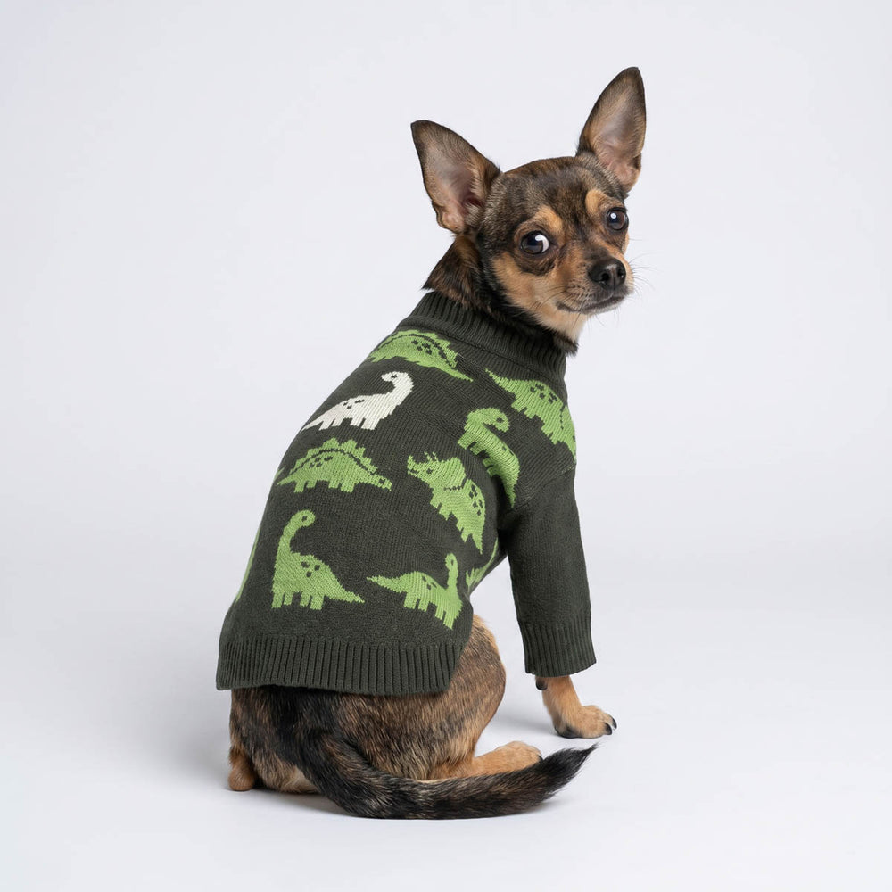 Small dog wearing a dark green knit sweater for dogs with a pattern of light green and white dinosaurs