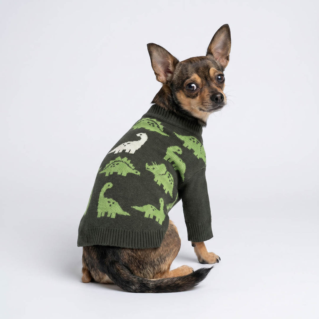 Small dog wearing a dark green knit sweater for dogs with a pattern of light green and white dinosaurs