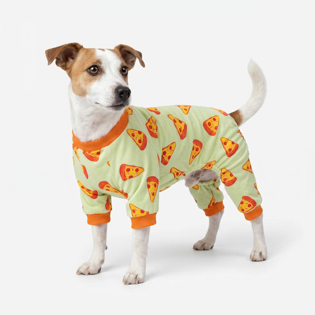 Small dog wearing a light green pajama for dogs suit printed with red and orange pizza slices, standing against a plain light gray studio background