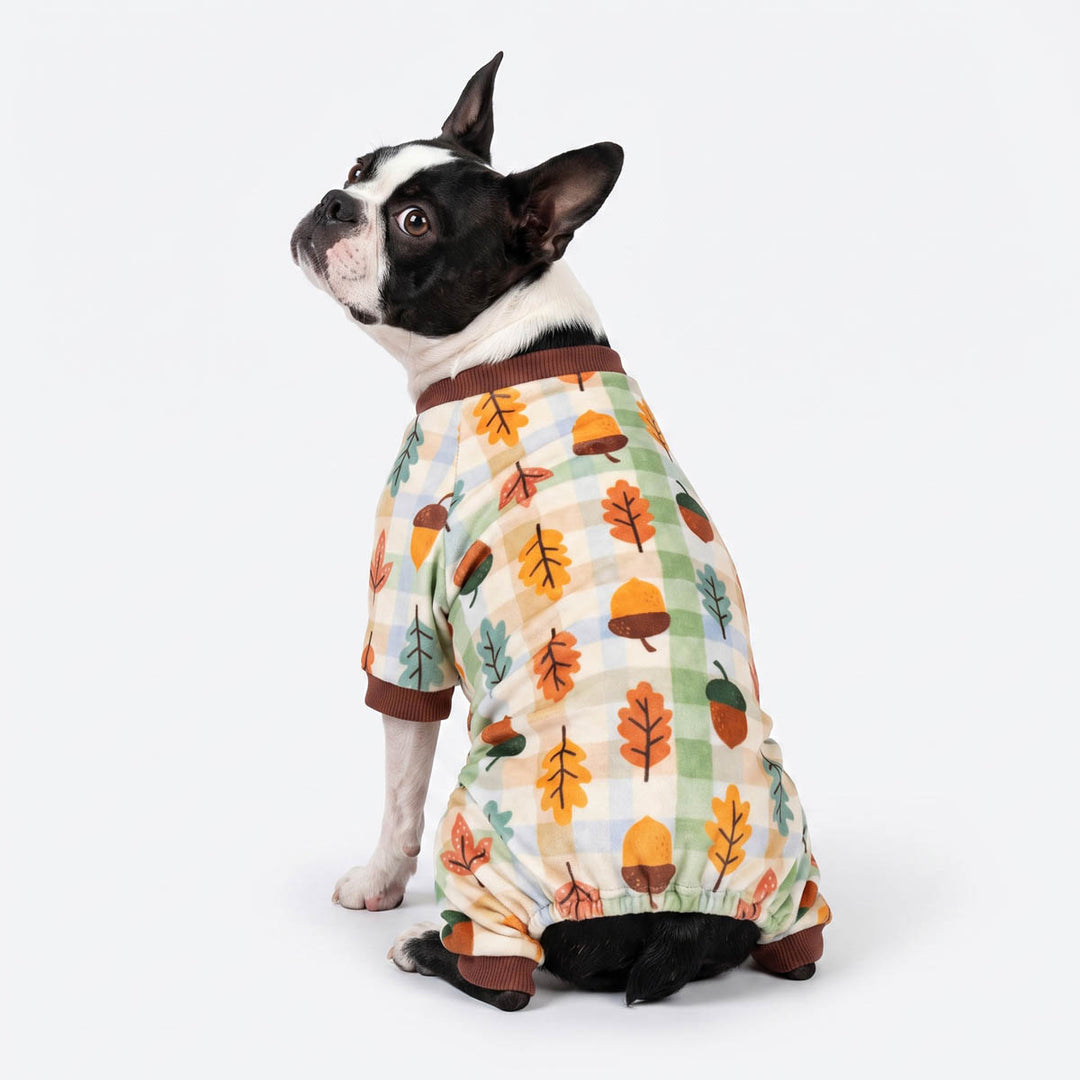 Back view of Boston Terrier dog wearing a dog pjs with an autumn leaf and acorn pattern over a cream and green gingham base