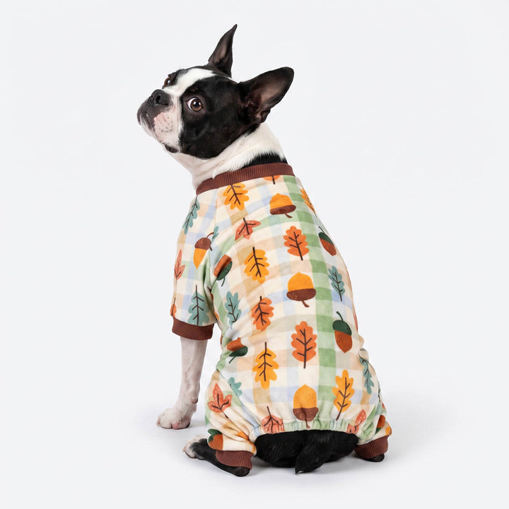 Back view of Boston Terrier dog wearing a dog pjs with an autumn leaf and acorn pattern over a cream and green gingham base