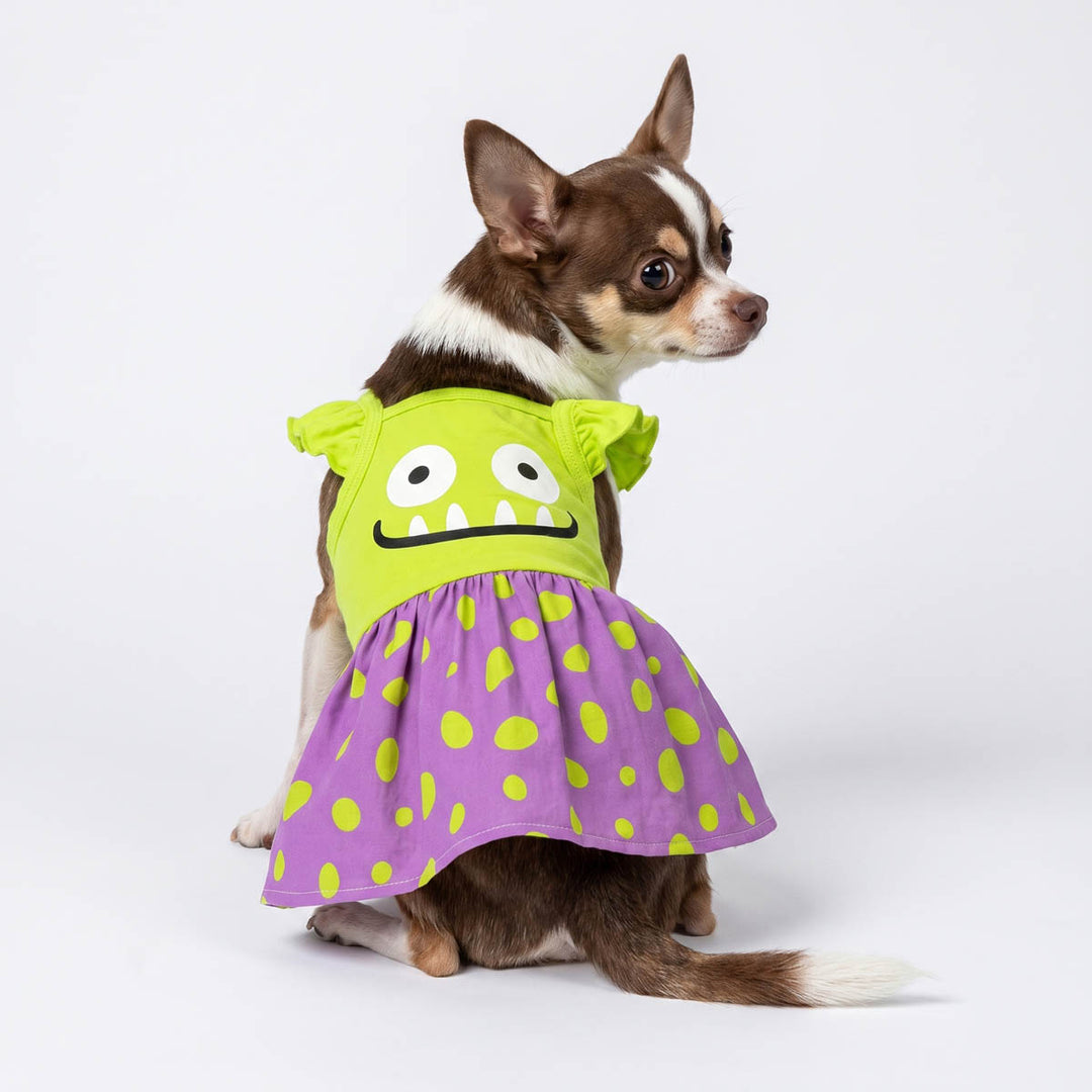 Back view of small brown and white Chihuahua dog wearing a bright lime green and purple monster-themed dog Halloween dress, photographed against a seamless white studio background