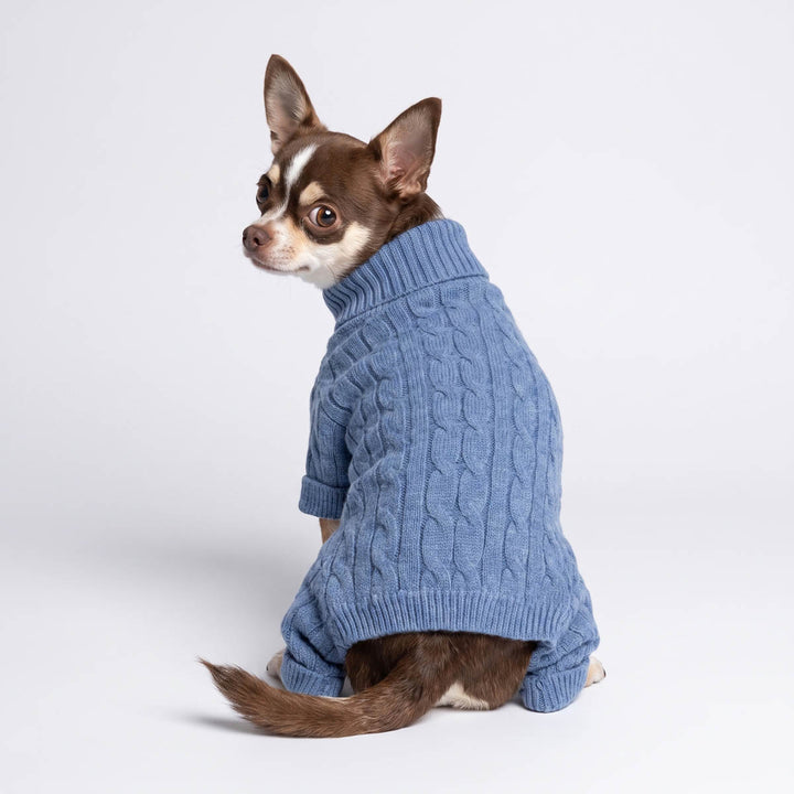 Back view of Chihuahua sitting on a white background with a dog knitted pajamas