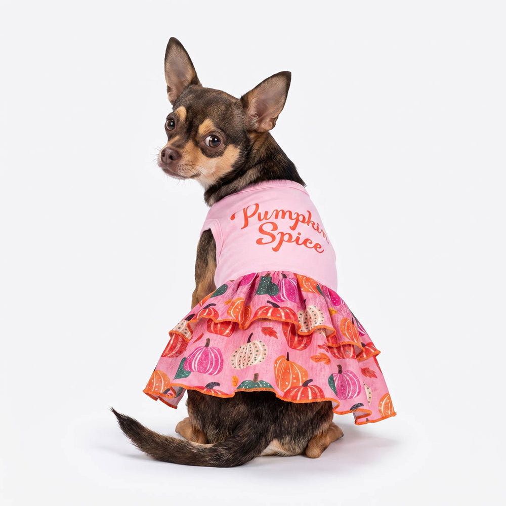 Back view small dog wearing a pink dress for dogs with a ruffled skirt printed with pumpkins and orange lettering that reads 'Pumpkin Spice' on the back