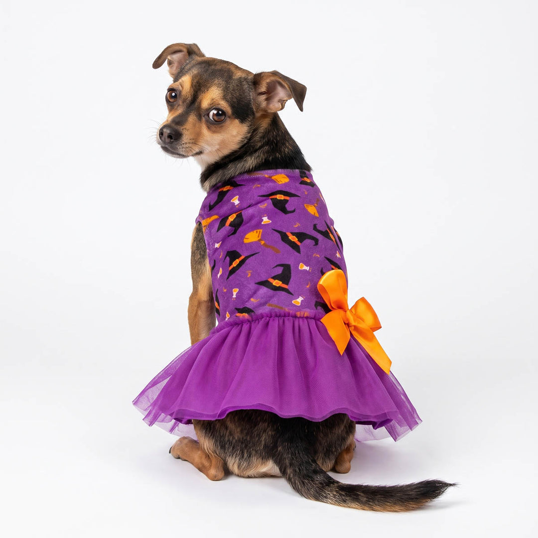 Back view of small dog wearing a purple dog Halloween dress with a witch and pumpkin print, a purple tulle skirt, and an orange bow