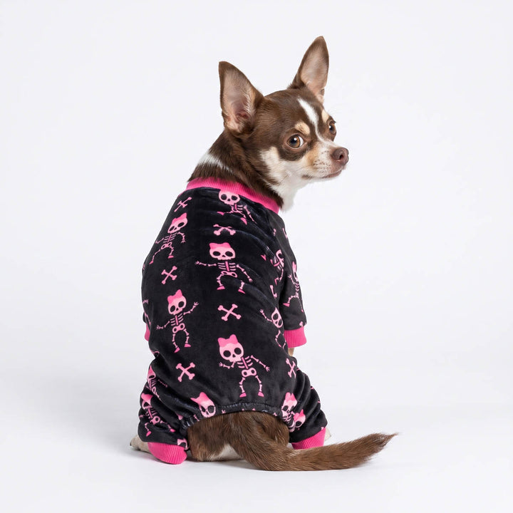 Small Chihuahua dog wearing a black fleece pajama set with pink skulls and skeletons, photographed against a seamless white studio background