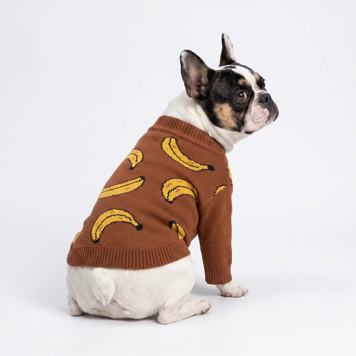 Banana Dog Sweater | Cozy Knit Sweater for Small Dogs – Fitwarm
