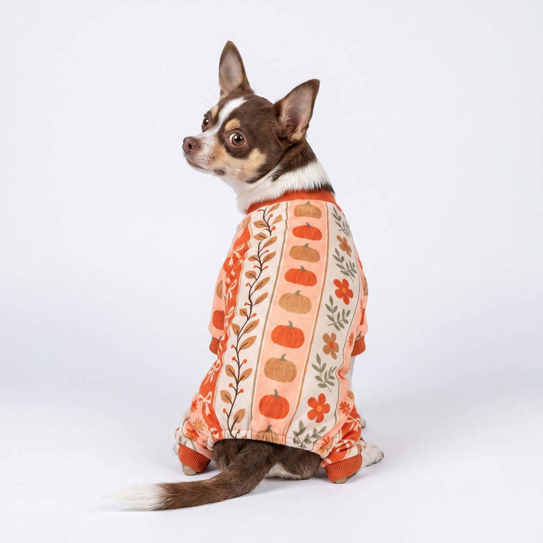 Back view of Chihuahua in a cozy pajamas for dogs with pumpkin, bow, and flower prints