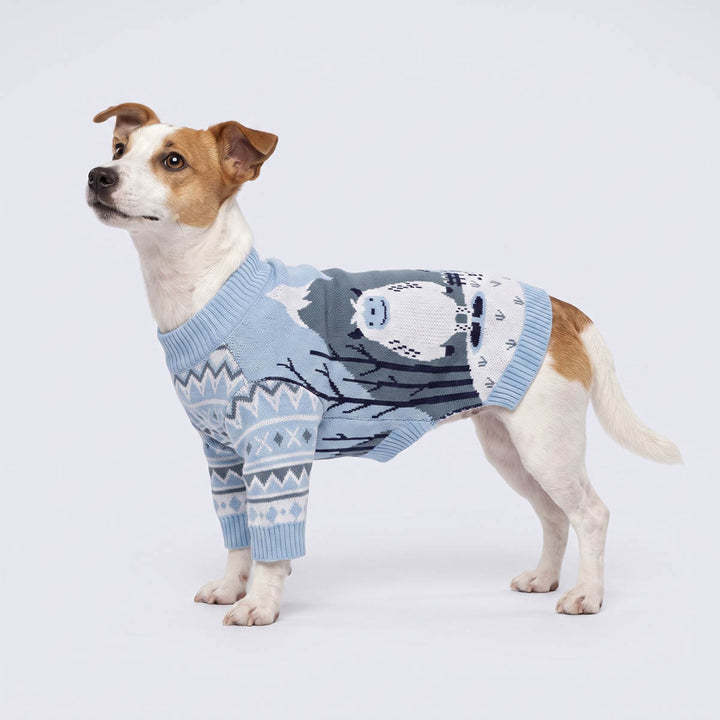 Jack Russell wearing a cozy dog knitted sweater with cute yeti print