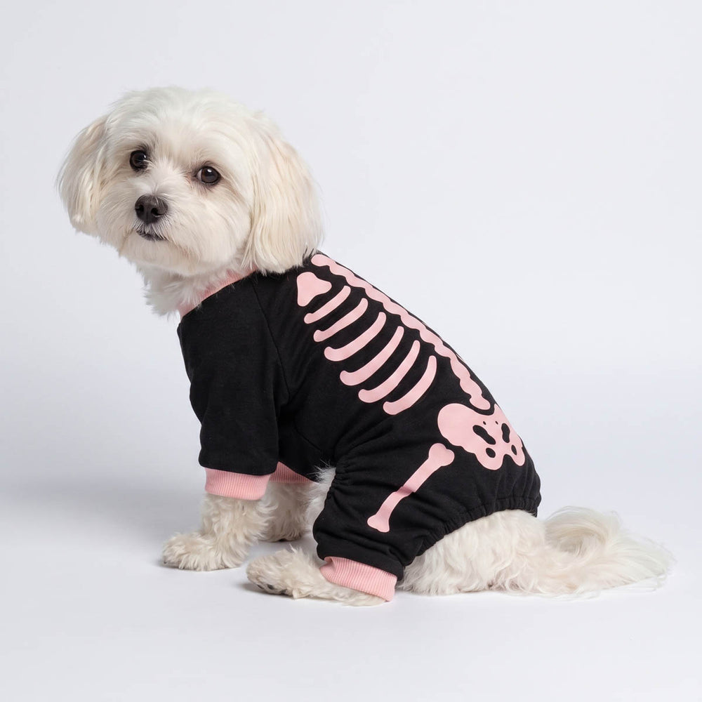 White dog wearing a black dog pjs with a pink skeleton print, photographed against a clean white studio background