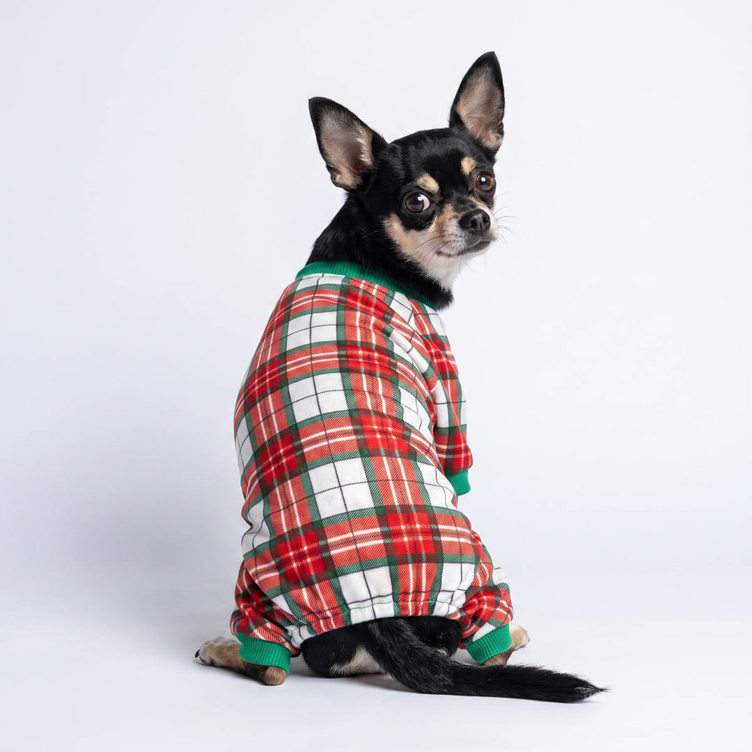 Back view of Chihuahua wearing a plaid pajamas for dogs and sitting on a white background