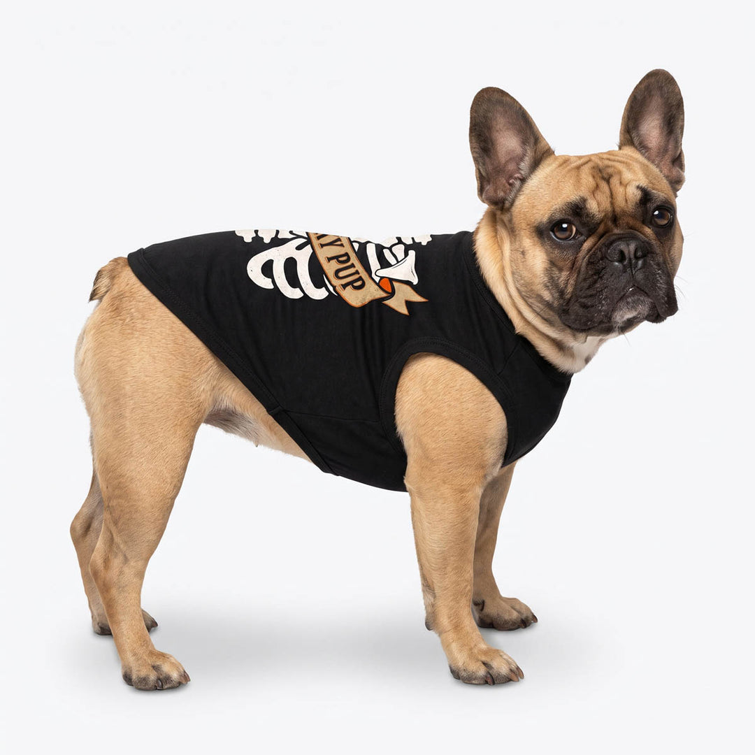 Drench Bulldog wearing a black dog t-shirt with a white skeleton graphic and a brown banner that reads 'Spooky pup'